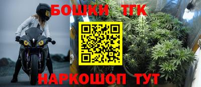 бошки Камышлов